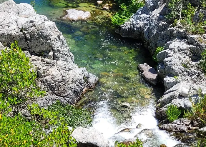 Porticcio - Agosta - T2 - Chez Cath Et Jc 公寓 *