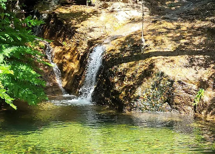 公寓 Porticcio - Agosta - T2 - Chez Cath Et Jc Albitreccia